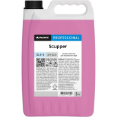 Средство для прочистки труб Pro-Brite Professional Scupper 5 л